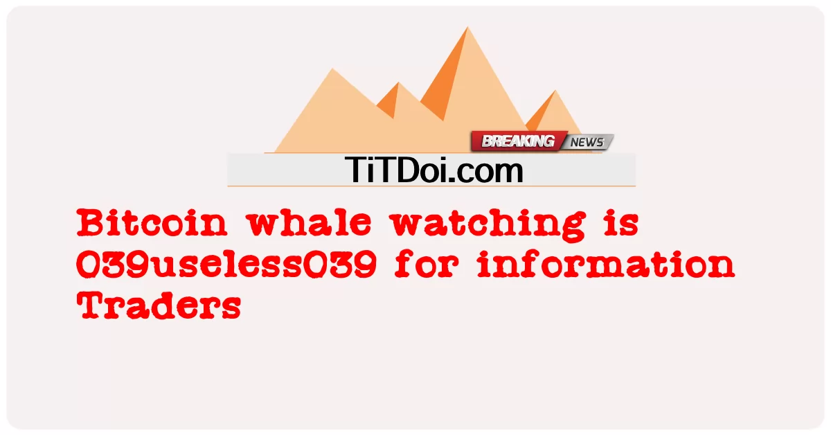 Bitcoin 고래 관찰은 정보 거래자에게 039useless039입니다. -  Bitcoin whale watching is 039useless039 for information Traders