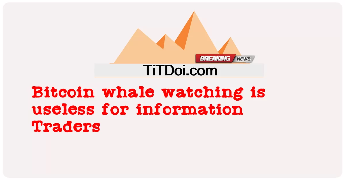  Bitcoin whale watching is useless for information Traders