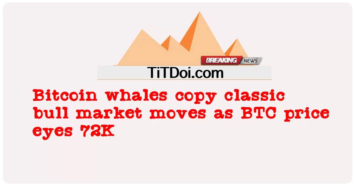 ត្រី បាឡែន Bitcoin ចម្លង ទី ផ្សារ គោ បុរាណ ផ្លាស់ ប្តូរ នៅ ពេល ដែល ភ្នែក តម្លៃ BTC 72K -  Bitcoin whales copy classic bull market moves as BTC price eyes 72K