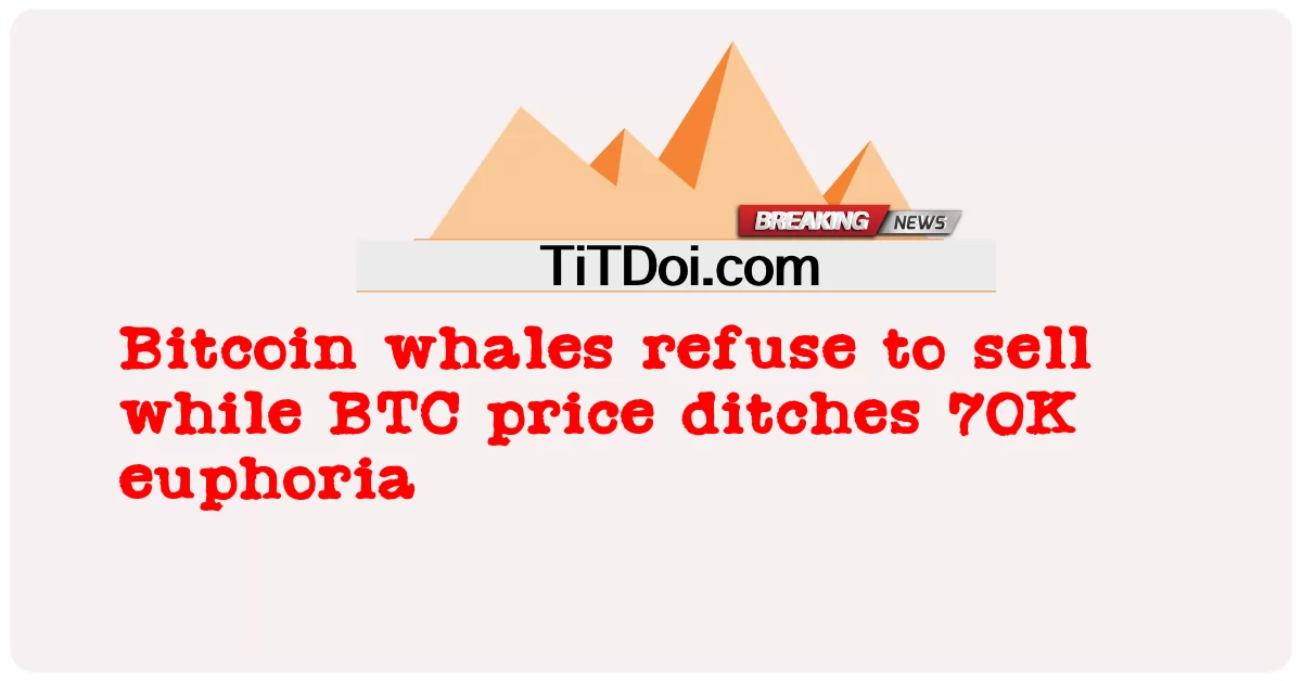 بٹ کوائن وہیل فروخت کرنے سے انکار کرتے ہیں جبکہ بی ٹی سی کی قیمت 70 ہزار تک پہنچ جاتی ہے -  Bitcoin whales refuse to sell while BTC price ditches 70K euphoria