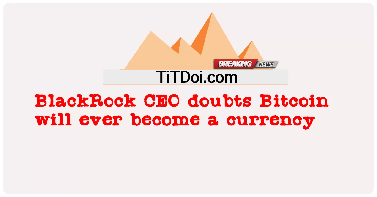 ব্ল্যাকরক সিইও সন্দেহ করেন যে বিটকয়েন কখনও মুদ্রা হয়ে উঠবে -  BlackRock CEO doubts Bitcoin will ever become a currency
