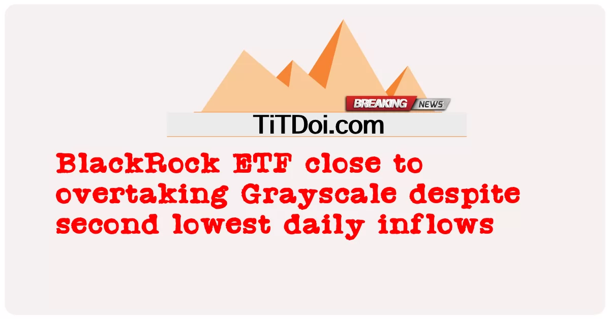 ब्लैकरॉक ईटीएफ दूसरे सबसे कम दैनिक प्रवाह के बावजूद ग्रेस्केल से आगे निकलने के करीब -  BlackRock ETF close to overtaking Grayscale despite second lowest daily inflows