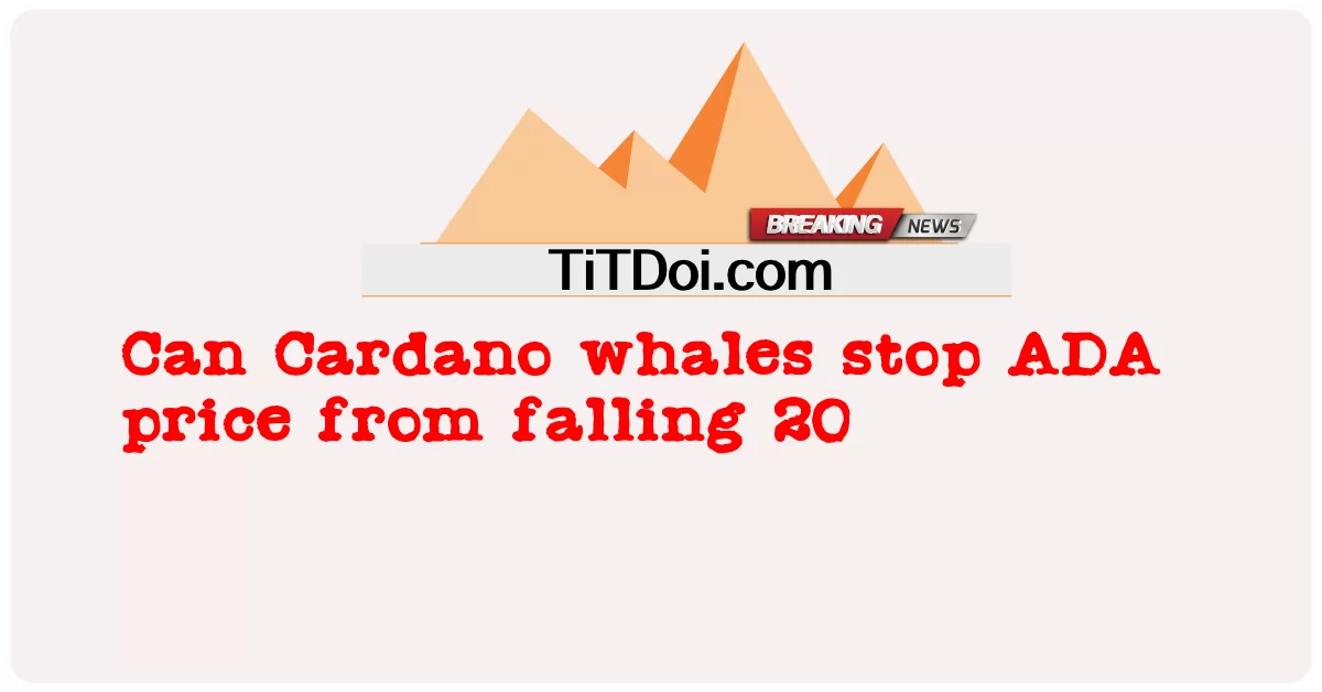 Baleias Cardano podem impedir que o preço da ADA caia 20 -  Can Cardano whales stop ADA price from falling 20