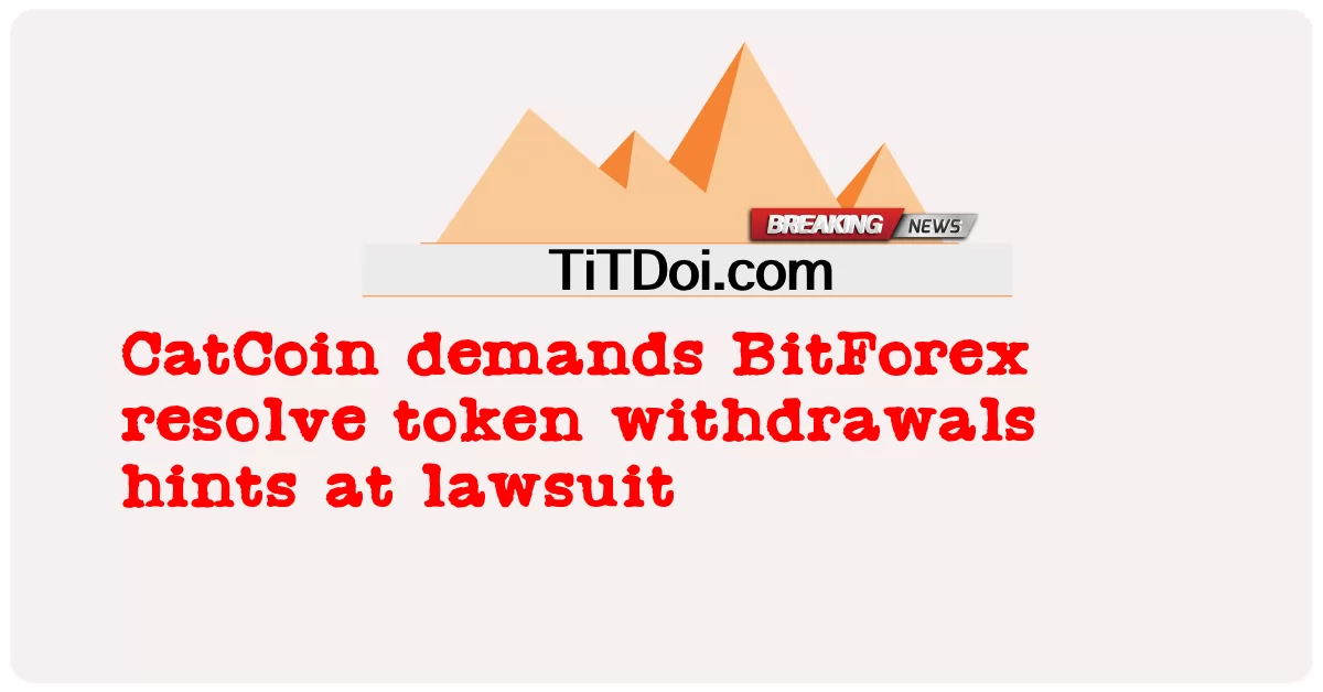 CatCoin chiede a BitForex di risolvere i prelievi di token e suggerisce una causa legale -  CatCoin demands BitForex resolve token withdrawals hints at lawsuit