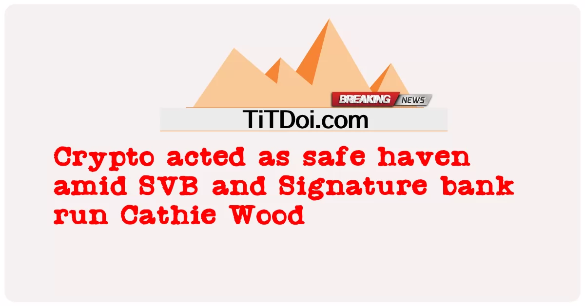 Kryptowaluty działały jako bezpieczna przystań wśród banków SVB i Signature Cathie Wood -  Crypto acted as safe haven amid SVB and Signature bank run Cathie Wood