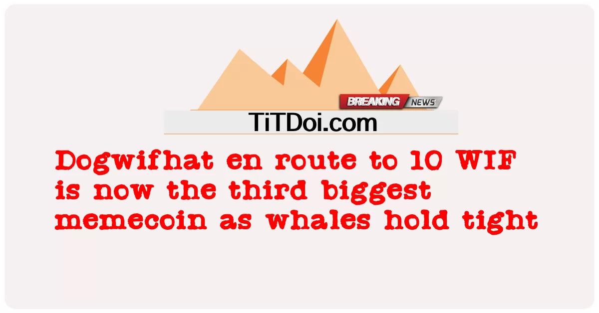 ဒဗလျူအိုင်အက်ဖ် ၁၀ လမ်းခရီးတွင် Doggwifhat သည် ယခုအခါ ဝေလငါးများ တင်းကျပ်စွာကိုင်ထားကြစဉ် တတိယအကြီးဆုံး မဲမီကိုင်ဖြစ်နေပြီ -  Dogwifhat en route to 10 WIF is now the third biggest memecoin as whales hold tight