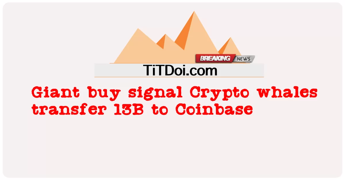 Tín hiệu mua khổng lồ Cá voi tiền điện tử chuyển 13B sang Coinbase -  Giant buy signal Crypto whales transfer 13B to Coinbase