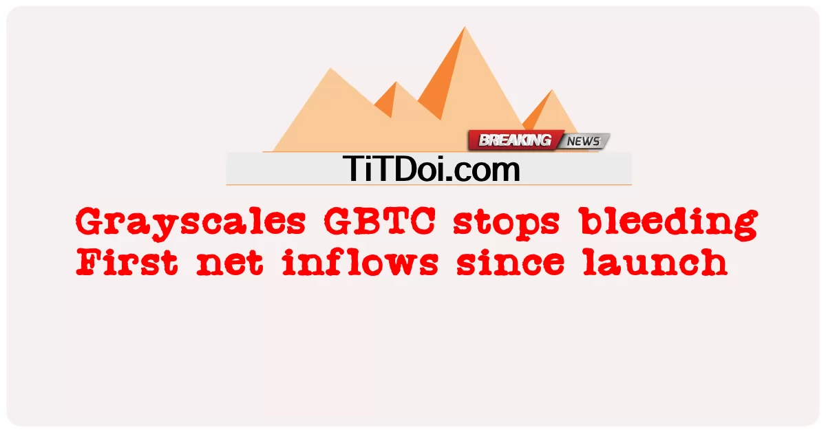 Grayscales GBTC menghentikan pendarahan Arus masuk bersih pertama sejak diluncurkan -  Grayscales GBTC stops bleeding First net inflows since launch