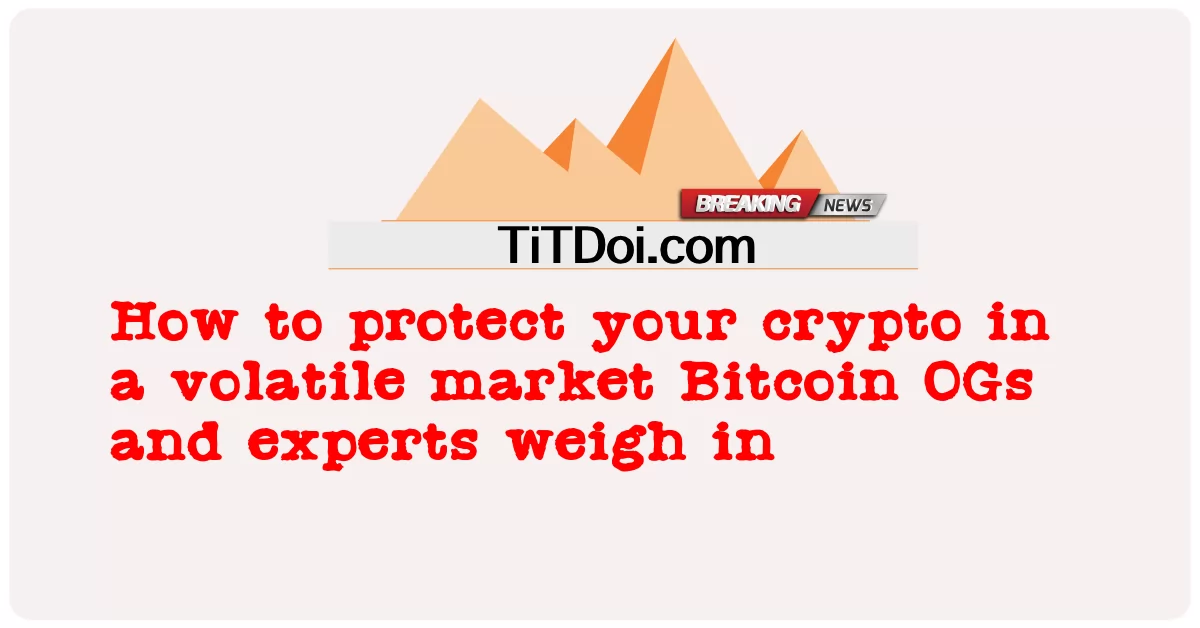 변동성이 큰 시장에서 암호화폐를 보호하는 방법 Bitcoin OG와 전문가들이 참여합니다. -  How to protect your crypto in a volatile market Bitcoin OGs and experts weigh in