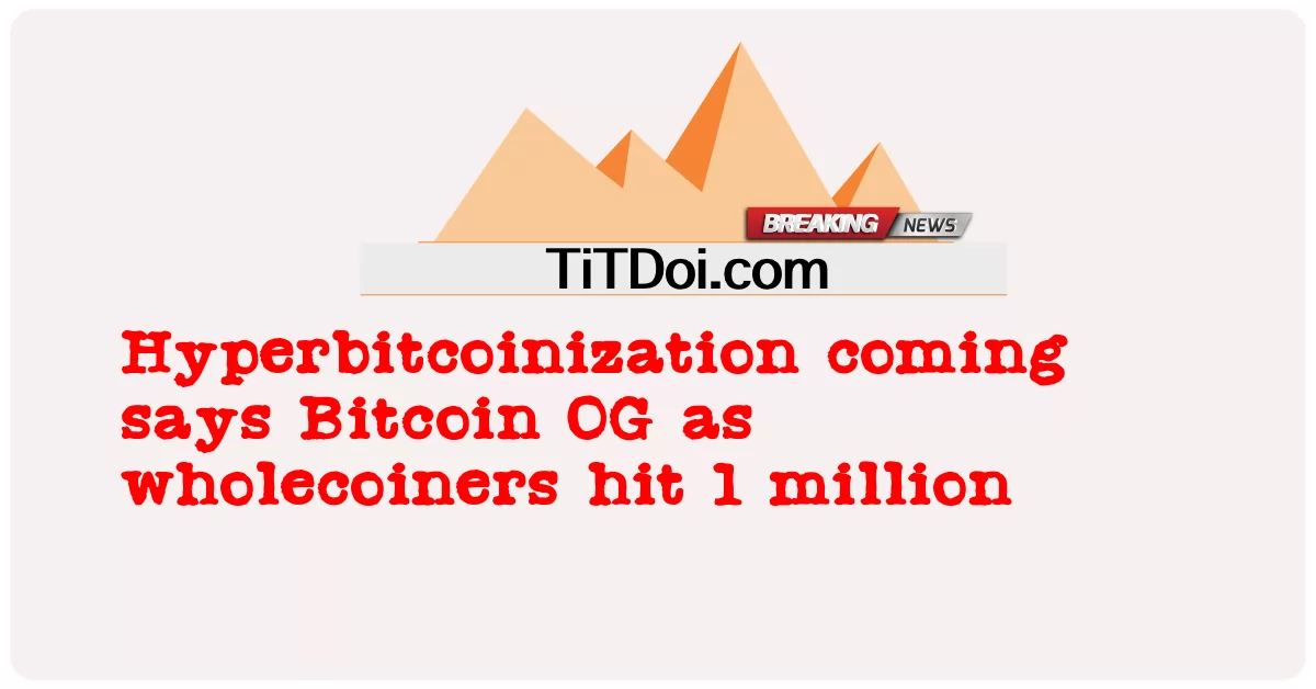 Hyperbitcoinization sắp tới cho biết Bitcoin OG khi các nhà bán buôn đạt 1 triệu -  Hyperbitcoinization coming says Bitcoin OG as wholecoiners hit 1 million
