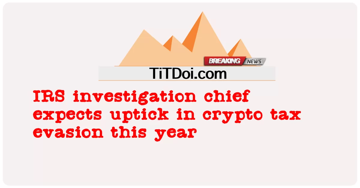美国国税局调查负责人预计今年加密货币逃税将会增加 -  IRS investigation chief expects uptick in crypto tax evasion this year