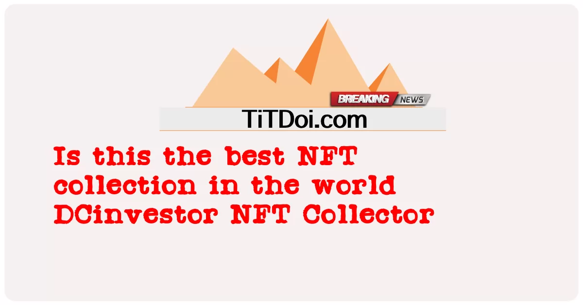 ¿Es esta la mejor colección de NFT del mundo? DCinvestor NFT Collector -  Is this the best NFT collection in the world DCinvestor NFT Collector