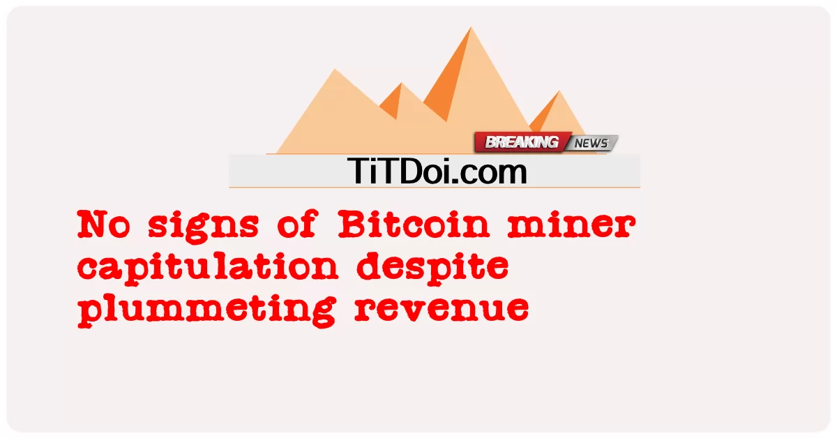 د Bitcoin کان کیندونکی تسلیمیدو نښې نښانې د عوایدو کمولو سره سره -  No signs of Bitcoin miner capitulation despite plummeting revenue