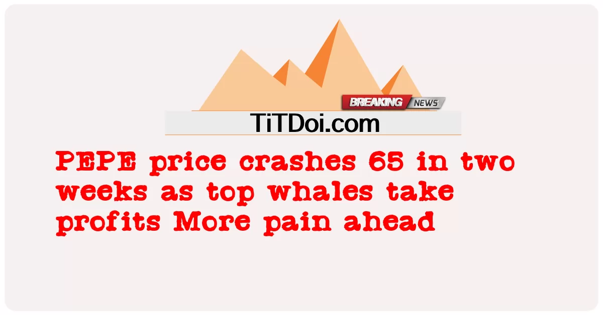 د PEPE قیمت په دوه اونیو کې 65 سقوط کوی ځکه چې غوره ویلز ګټه اخلی نور درد مخ په وړاندې -  PEPE price crashes 65 in two weeks as top whales take profits More pain ahead