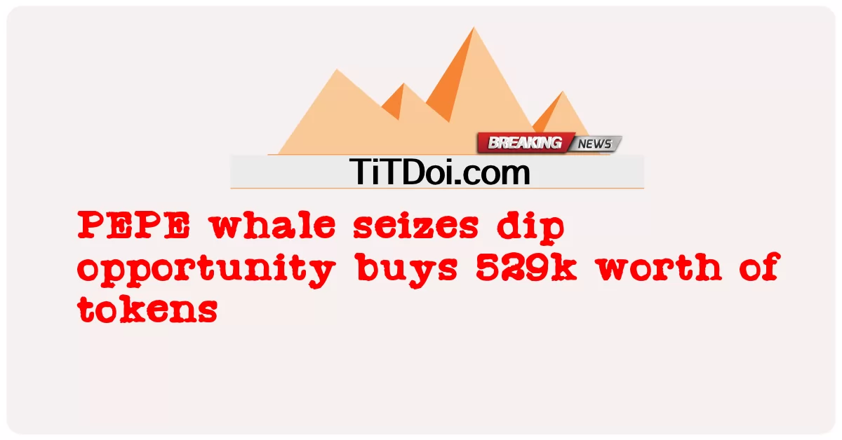 PEPE ویل د ډوب فرصت نیسی د 529k ارزښت لرونکی ټوکنونه اخلی -  PEPE whale seizes dip opportunity buys 529k worth of tokens