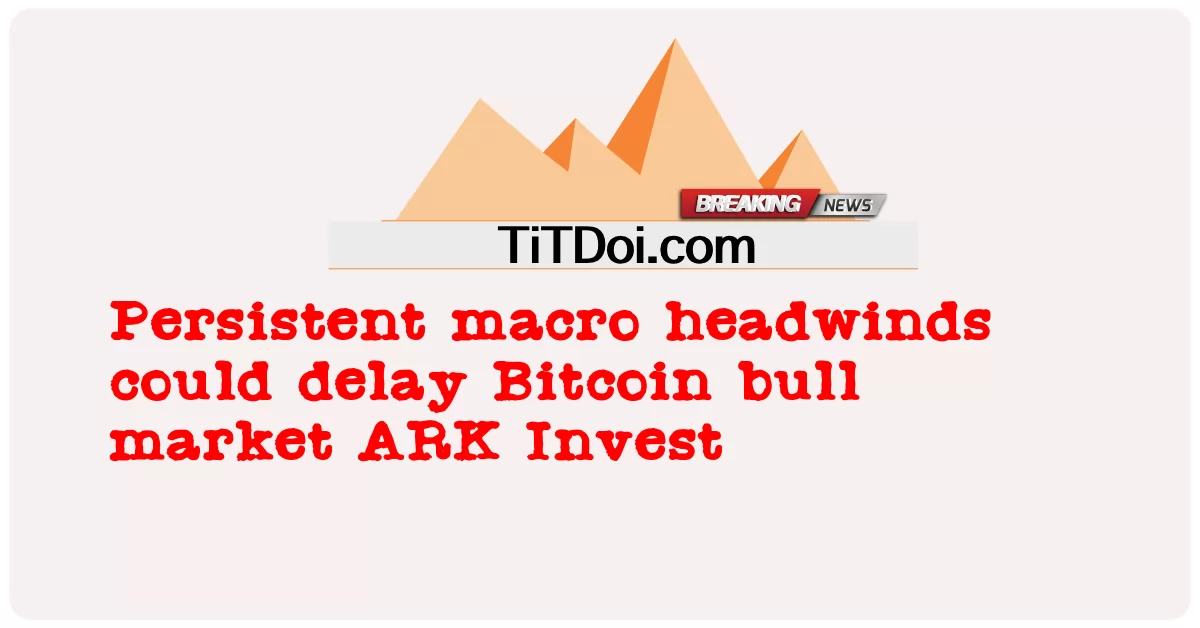 قد تؤدي الرياح المعاكسة الكلية المستمرة إلى تأخير سوق البيتكوين الصاعد ARK Invest -  Persistent macro headwinds could delay Bitcoin bull market ARK Invest