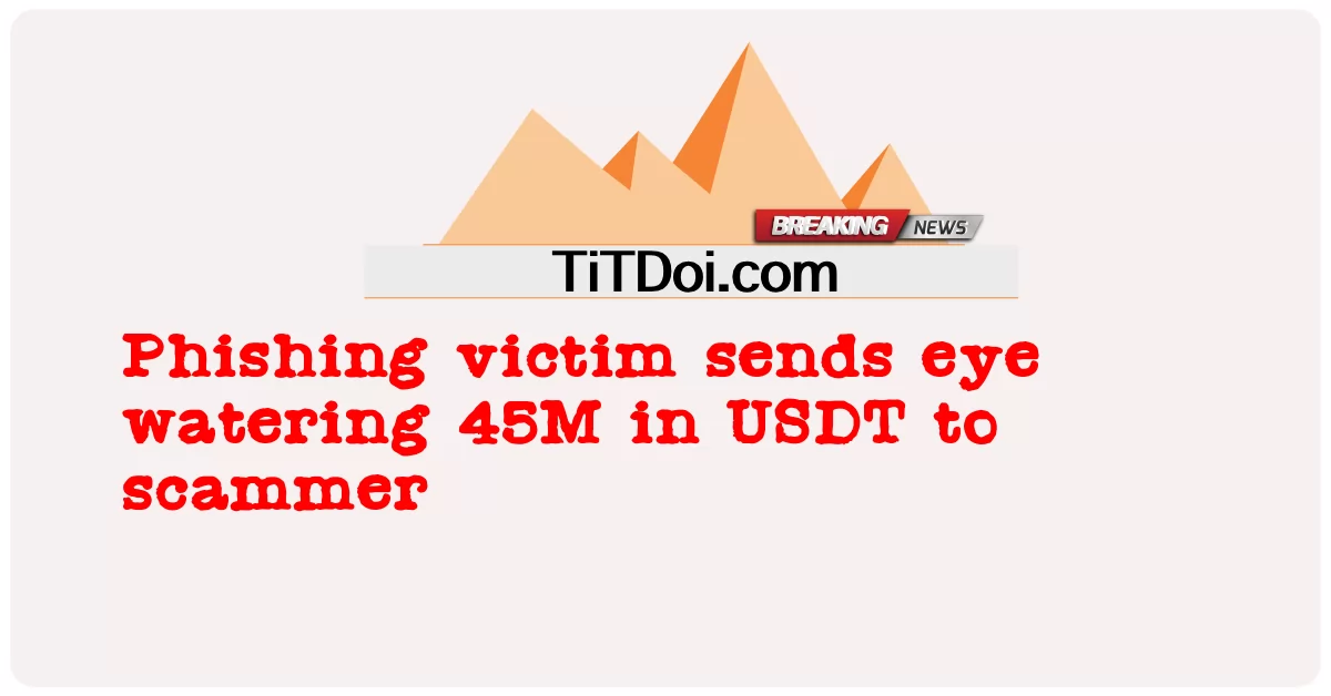 फिशिंग पीड़ित ने स्कैमर को यूएसडीटी में 45 मीटर की आंख में पानी भेजा -  Phishing victim sends eye watering 45M in USDT to scammer