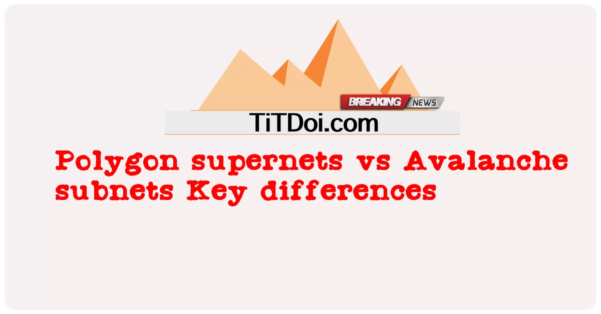ポリゴン スーパーネットと Avalanche サブネットの主な違い -  Polygon supernets vs Avalanche subnets Key differences