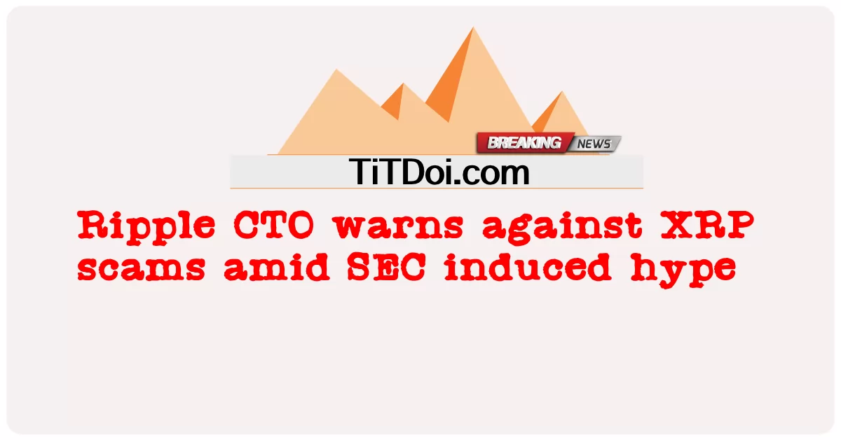 ریپل سی ٹی او نے ایس ای سی کی تشہیر کے درمیان ایکس آر پی گھوٹالوں کے خلاف خبردار کیا -  Ripple CTO warns against XRP scams amid SEC induced hype