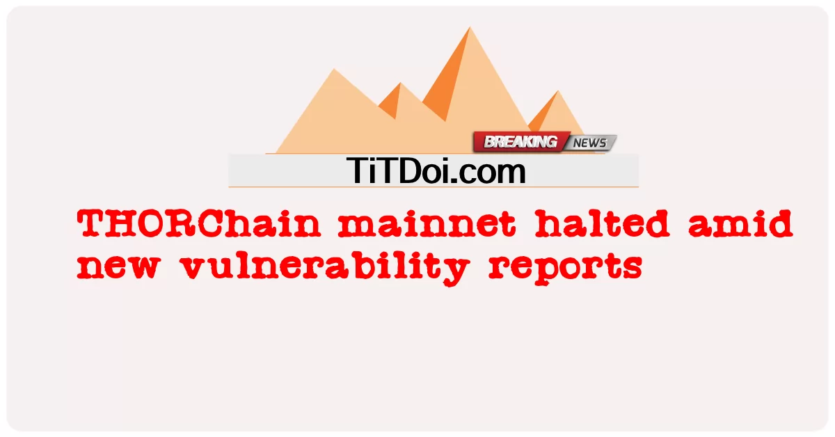 새로운 취약점 보고로 THORChain 메인넷 중단 -  THORChain mainnet halted amid new vulnerability reports