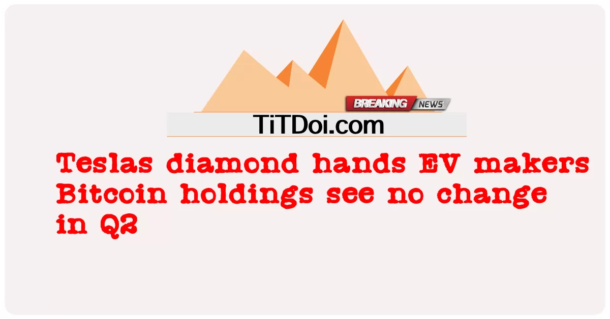 Il diamante di Tesla consegna ai produttori di veicoli elettrici Le partecipazioni Bitcoin non vedono alcun cambiamento nel Q2 -  Teslas diamond hands EV makers Bitcoin holdings see no change in Q2