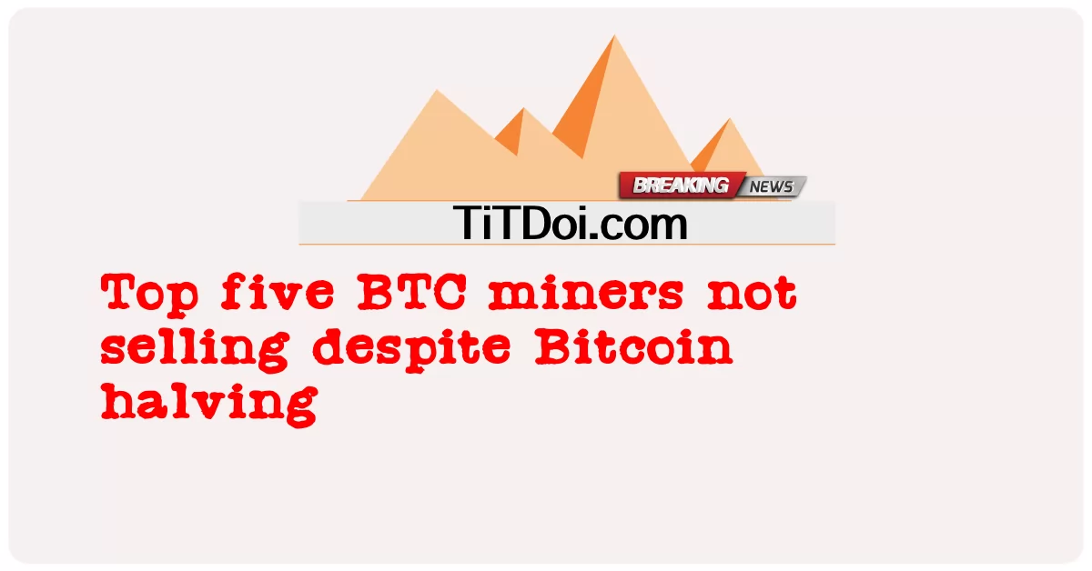 Nangungunang limang BTC minero hindi nagbebenta sa kabila ng Bitcoin halving -  Top five BTC miners not selling despite Bitcoin halving