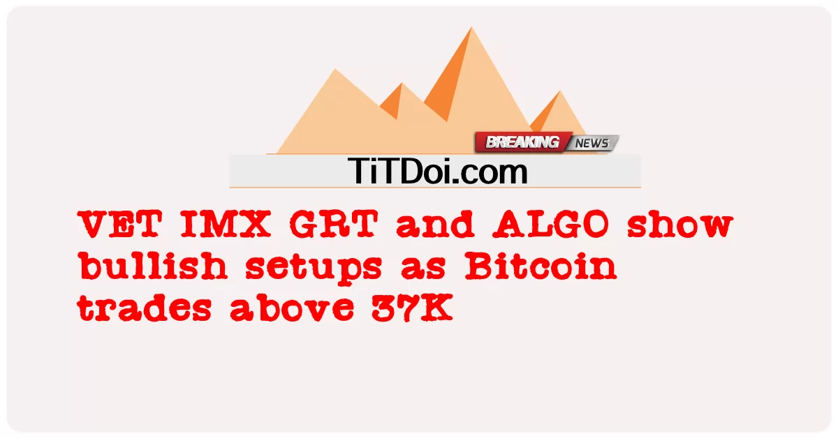 VET, IMX, GRT, dan ALGO menunjukkan pengaturan bullish saat Bitcoin diperdagangkan di atas 37K -  VET IMX GRT and ALGO show bullish setups as Bitcoin trades above 37K