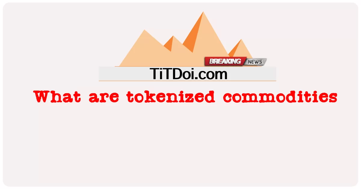 ٹوکنائزڈ اشیاء کیا ہیں -  What are tokenized commodities