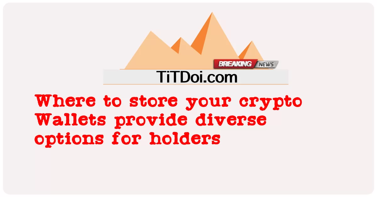 Kripto Cüzdanlarınızı nerede saklayabilirsiniz? -  Where to store your crypto Wallets provide diverse options for holders