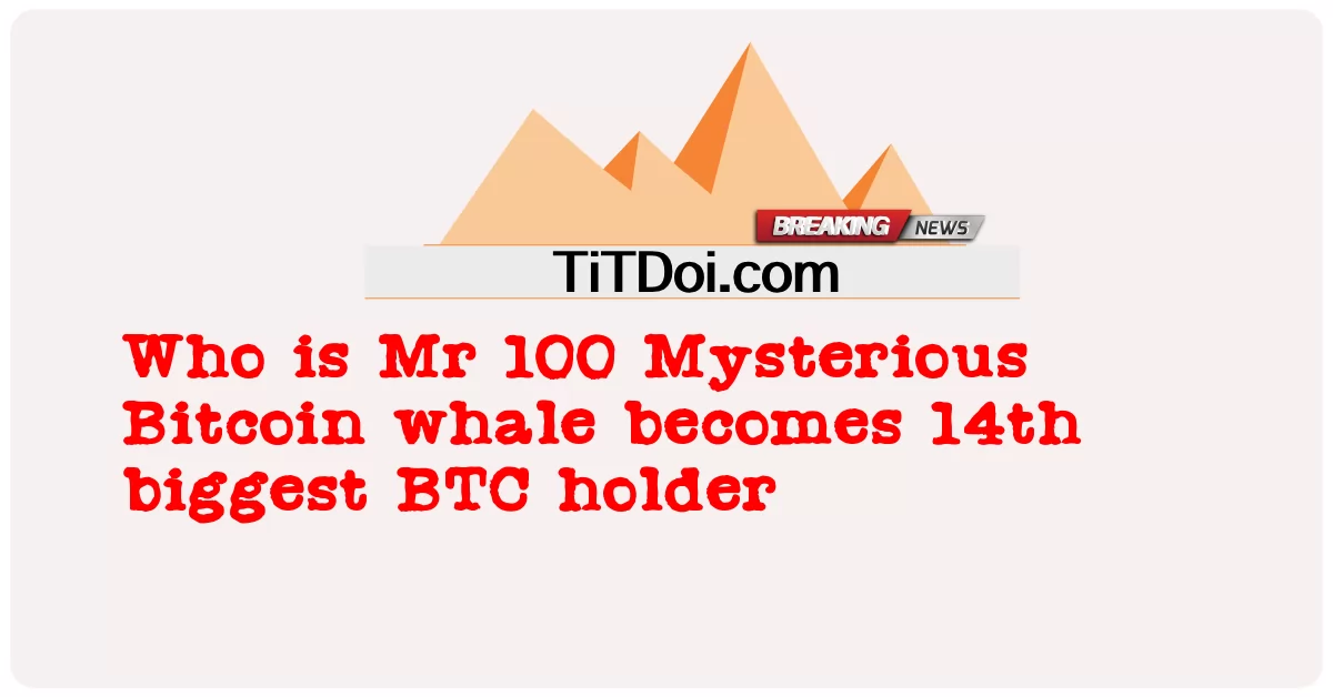 Bay 100 Gizemli Bitcoin balinası kimdir: 14. en büyük BTC sahibi oldu -  Who is Mr 100 Mysterious Bitcoin whale becomes 14th biggest BTC holder