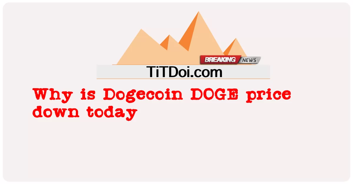 오늘 도지코인 도지코인 가격이 하락한 이유 -  Why is Dogecoin DOGE price down today