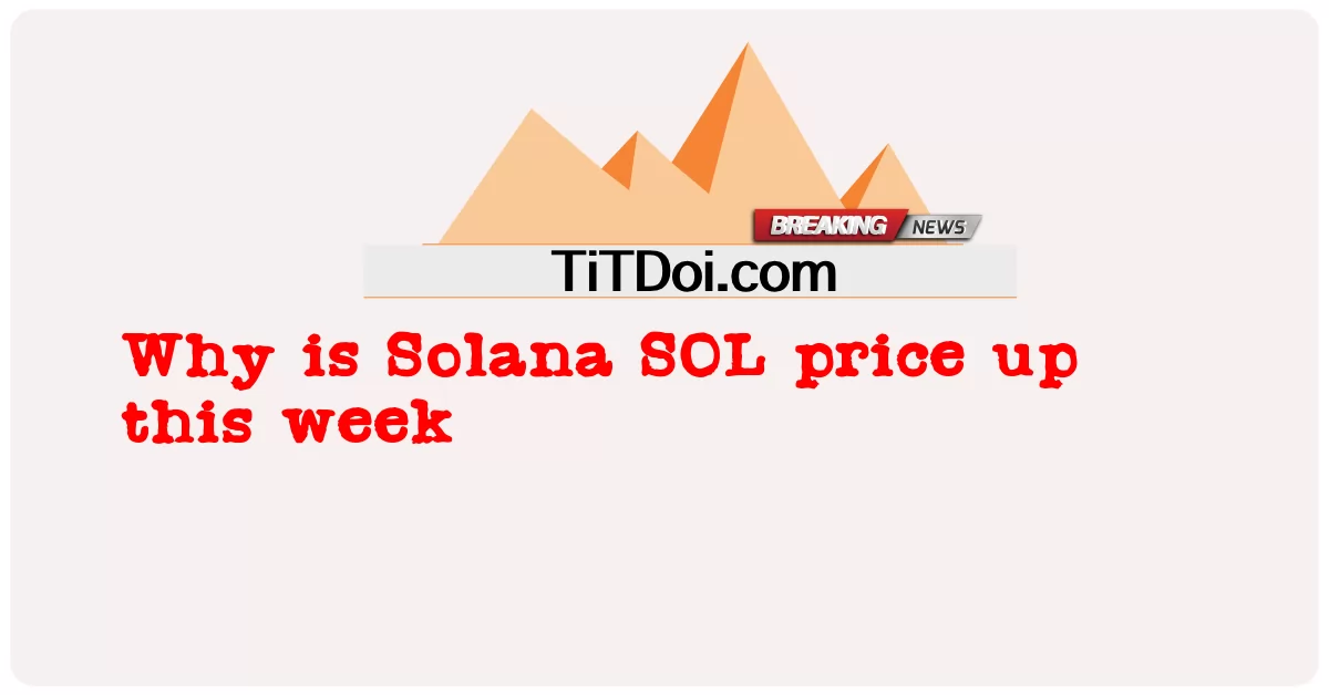 Solana SOL ဈေးနှုန်း ဒီအပတ် ဘာဖြစ်လို့လဲ -  Why is Solana SOL price up this week