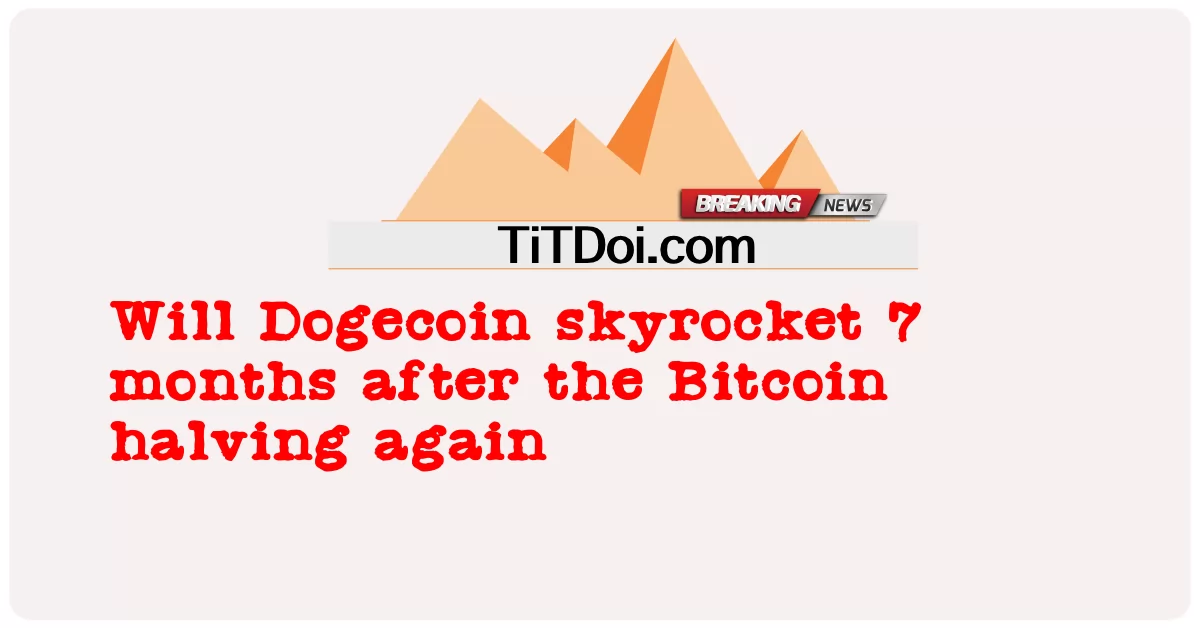 Adakah Dogecoin akan melonjak 7 bulan selepas Bitcoin separuh lagi -  Will Dogecoin skyrocket 7 months after the Bitcoin halving again